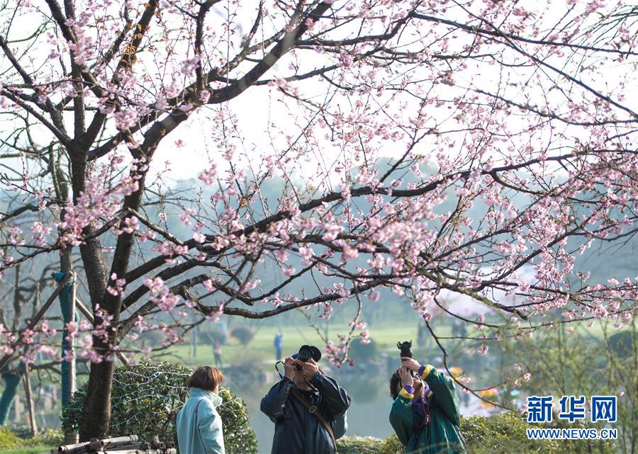 荔浦天气预报_荔浦7天天气预报