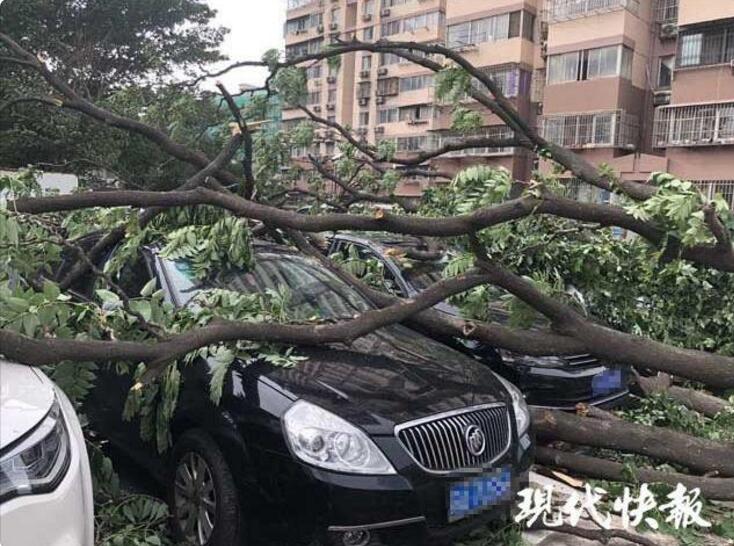 合肥市一周天气预报,合肥市的一周天气预报