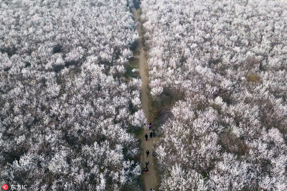 象山天气预报7天查询_象山7天天气预报查询