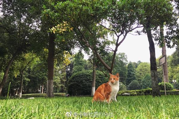 通道天气预报_通道的天气预报一周