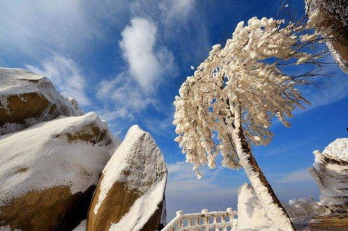 阜宁天气_阜宁县30天天气预报